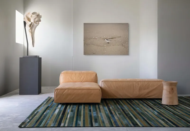 Tablou Canvas, "Păsărilă pe țărmul nisipos al mării", Nisip, Pasăre, Drum, Cochilii, Liniște, Natură, Plajă, Păsări., 100 x 70 cm – poza 7