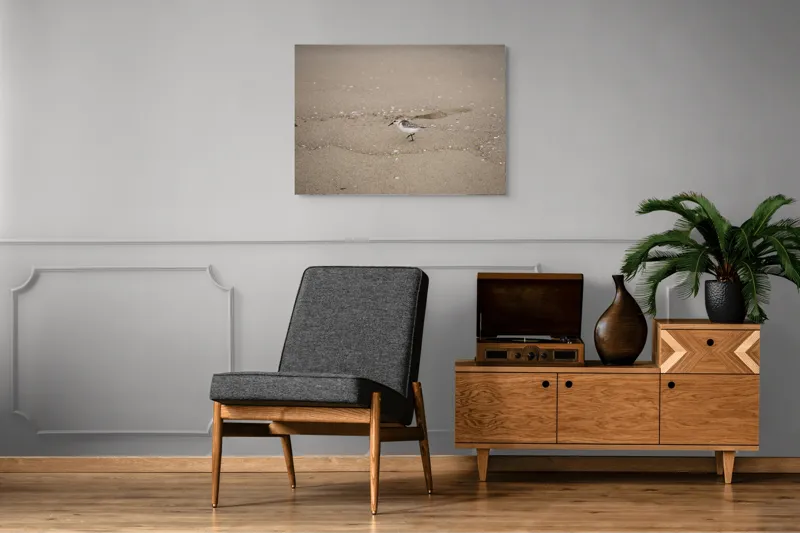 Tablou Canvas, "Păsărilă pe țărmul nisipos al mării", Nisip, Pasăre, Drum, Cochilii, Liniște, Natură, Plajă, Păsări., 100 x 70 cm – poza 8