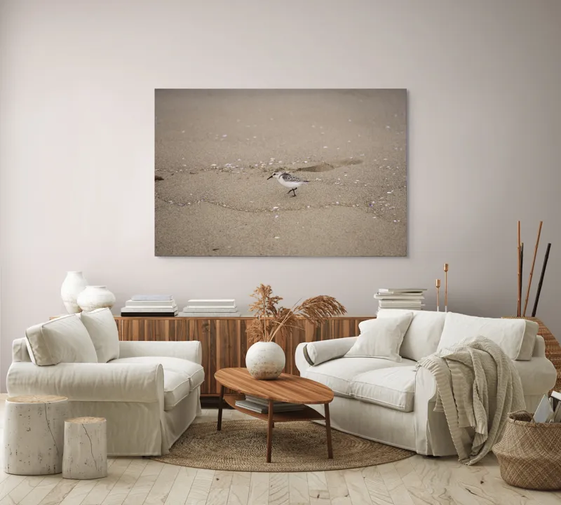 Tablou Canvas, "Păsărilă pe țărmul nisipos al mării", Nisip, Pasăre, Drum, Cochilii, Liniște, Natură, Plajă, Păsări., 150 x 100 cm – poza 3