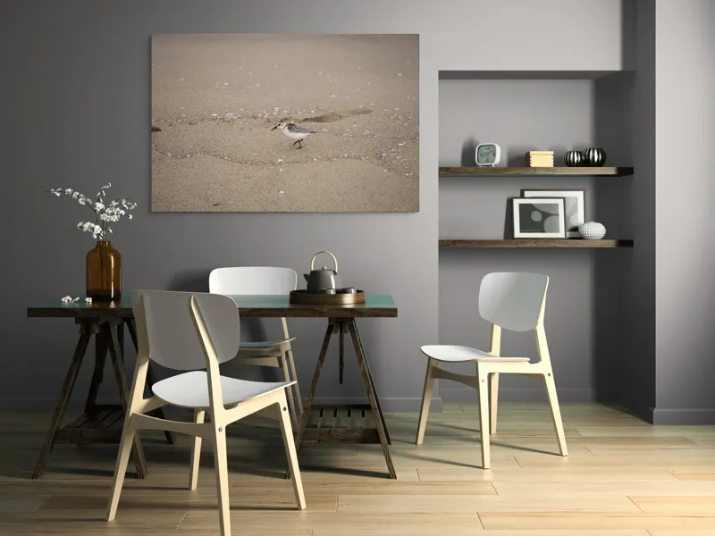Tablou Canvas, "Păsărilă pe țărmul nisipos al mării", Nisip, Pasăre, Drum, Cochilii, Liniște, Natură, Plajă, Păsări., 150 x 100 cm – poza 5