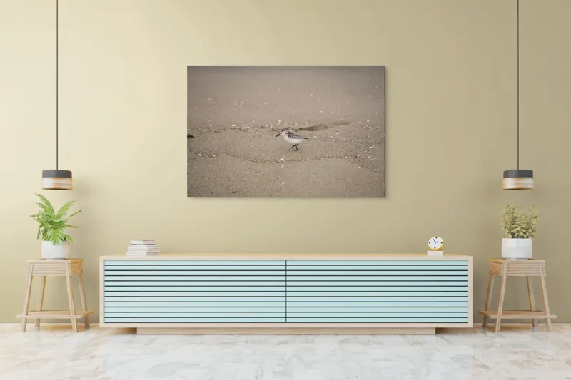Tablou Canvas, "Păsărilă pe țărmul nisipos al mării", Nisip, Pasăre, Drum, Cochilii, Liniște, Natură, Plajă, Păsări., 150 x 100 cm – poza 6