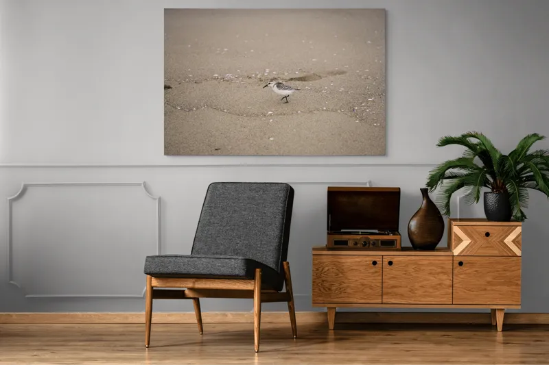 Tablou Canvas, "Păsărilă pe țărmul nisipos al mării", Nisip, Pasăre, Drum, Cochilii, Liniște, Natură, Plajă, Păsări., 150 x 100 cm – poza 8