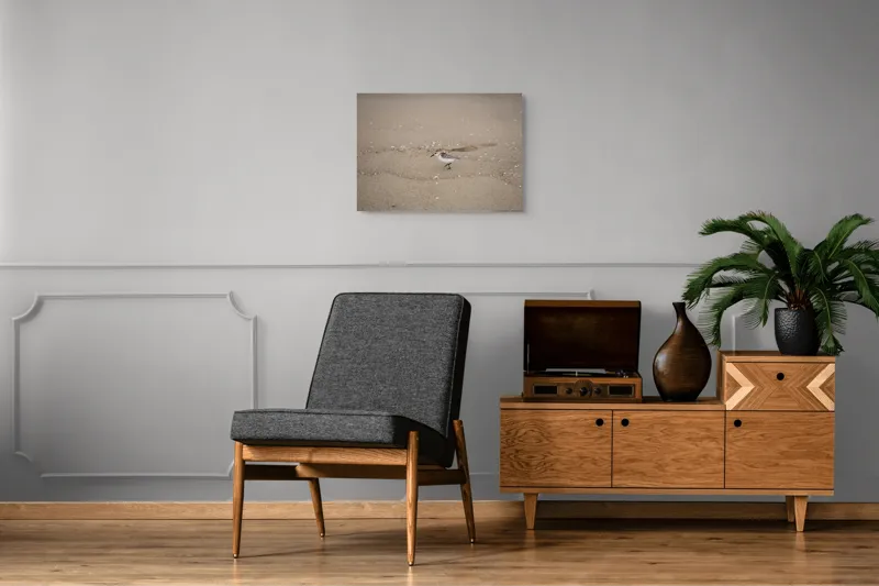 Tablou Canvas, "Păsărilă pe țărmul nisipos al mării", Nisip, Pasăre, Drum, Cochilii, Liniște, Natură, Plajă, Păsări., 70 x 50 cm – poza 4