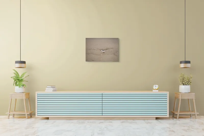 Tablou Canvas, "Păsărilă pe țărmul nisipos al mării", Nisip, Pasăre, Drum, Cochilii, Liniște, Natură, Plajă, Păsări., 70 x 50 cm – poza 7