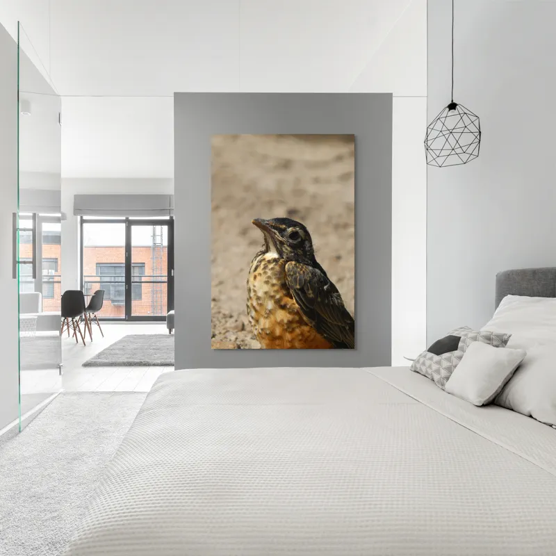 Tablou Canvas, "Pasărea pământului arid și luminat", Pasăre, Detalii, Penaj, Contrast, Aripă, Privire, Natură, Sol., 100 x 150 cm – poza 5