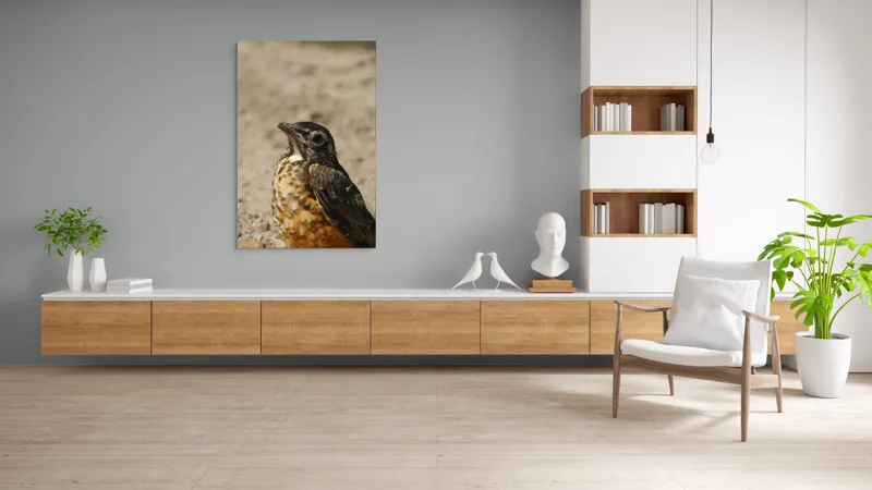 Tablou Canvas, "Pasărea pământului arid și luminat", Pasăre, Detalii, Penaj, Contrast, Aripă, Privire, Natură, Sol., 100 x 150 cm – poza 8