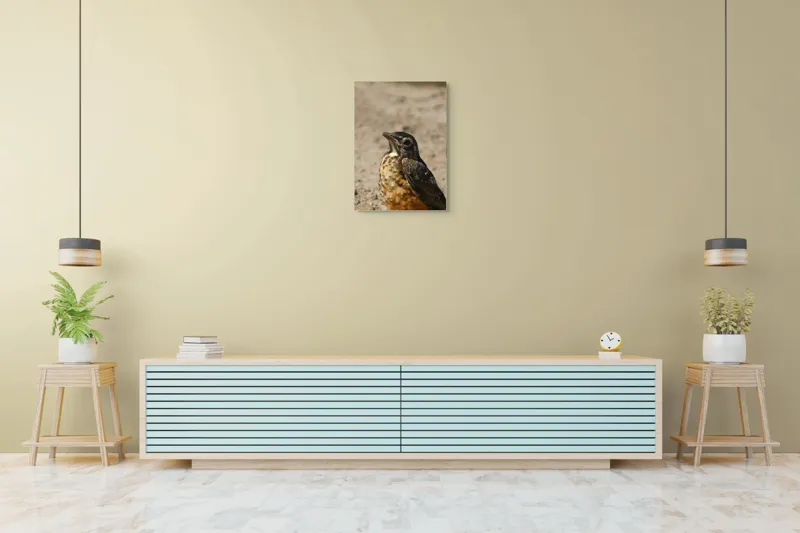 Tablou Canvas, "Pasărea pământului arid și luminat", Pasăre, Detalii, Penaj, Contrast, Aripă, Privire, Natură, Sol., 50 x 70 cm – poza 6