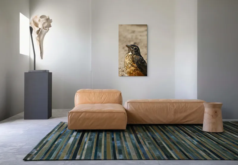 Tablou Canvas, "Pasărea pământului arid și luminat", Pasăre, Detalii, Penaj, Contrast, Aripă, Privire, Natură, Sol., 50 x 90 cm – poza 5