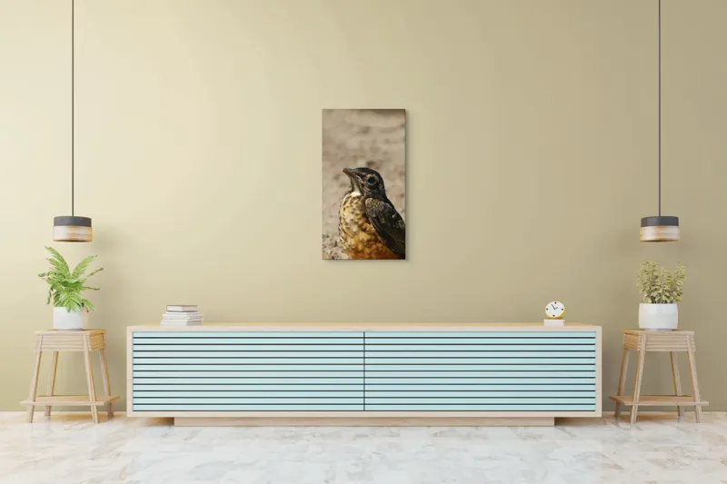Tablou Canvas, "Pasărea pământului arid și luminat", Pasăre, Detalii, Penaj, Contrast, Aripă, Privire, Natură, Sol., 50 x 90 cm – poza 6