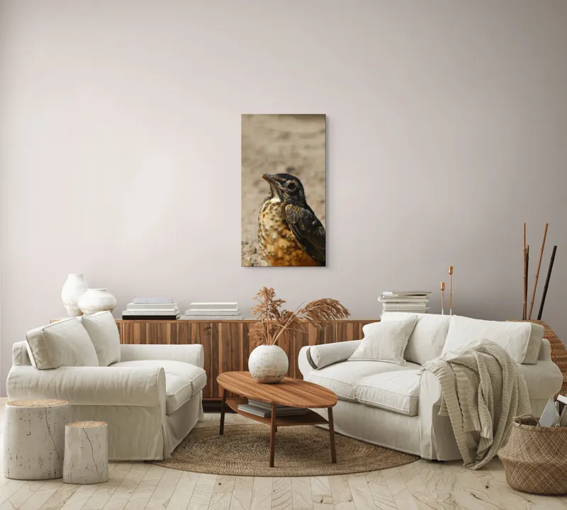 Tablou Canvas, "Pasărea pământului arid și luminat", Pasăre, Detalii, Penaj, Contrast, Aripă, Privire, Natură, Sol., 50 x 90 cm – poza 7