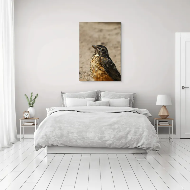 Tablou Canvas, "Pasărea pământului arid și luminat", Pasăre, Detalii, Penaj, Contrast, Aripă, Privire, Natură, Sol., 70 x 100 cm – poza 3