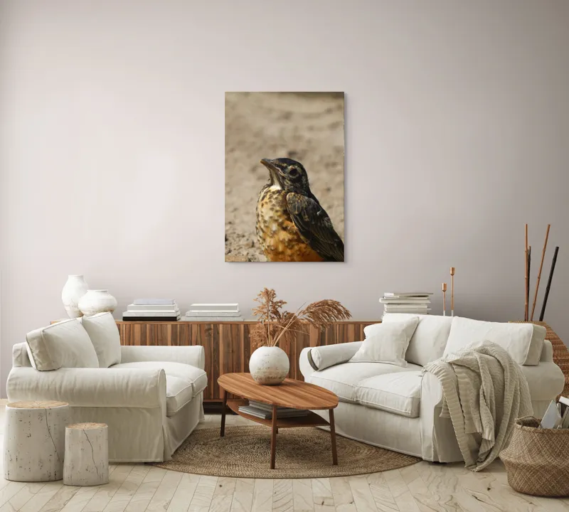 Tablou Canvas, "Pasărea pământului arid și luminat", Pasăre, Detalii, Penaj, Contrast, Aripă, Privire, Natură, Sol., 70 x 100 cm – poza 4