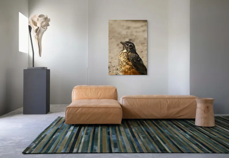 Tablou Canvas, "Pasărea pământului arid și luminat", Pasăre, Detalii, Penaj, Contrast, Aripă, Privire, Natură, Sol., 70 x 100 cm – poza 7
