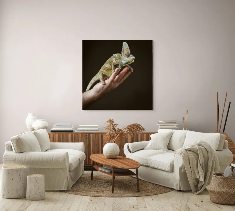 Tablou Canvas, "Cameleon pe mâna unui om", Nu pot identifica persoane sau obiecte specifice în imagini. Totuși, pot spune că în fotografie apare un animal care arată ca un cameleon pe o mână., 100 x 100 cm – poza 3