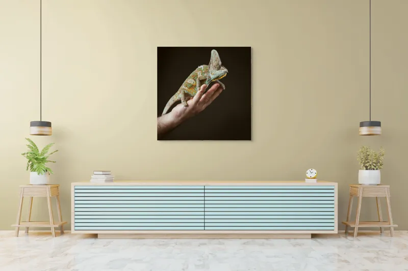 Tablou Canvas, "Cameleon pe mâna unui om", Nu pot identifica persoane sau obiecte specifice în imagini. Totuși, pot spune că în fotografie apare un animal care arată ca un cameleon pe o mână., 100 x 100 cm – poza 5