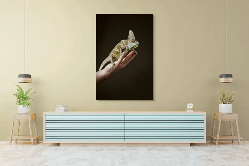 Tablou Canvas, "Cameleon pe mâna unui om", Nu pot identifica persoane sau obiecte specifice în imagini. Totuși, pot spune că în fotografie apare un animal care arată ca un cameleon pe o mână., 100 x 150 cm – poza 4