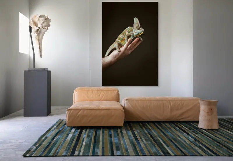 Tablou Canvas, "Cameleon pe mâna unui om", Nu pot identifica persoane sau obiecte specifice în imagini. Totuși, pot spune că în fotografie apare un animal care arată ca un cameleon pe o mână., 100 x 150 cm – poza 7