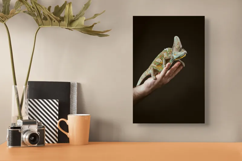 Tablou Canvas, "Cameleon pe mâna unui om", 26 x 39 cm – poza 3