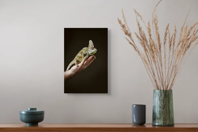 Tablou Canvas, "Cameleon pe mâna unui om", 26 x 39 cm – poza 5