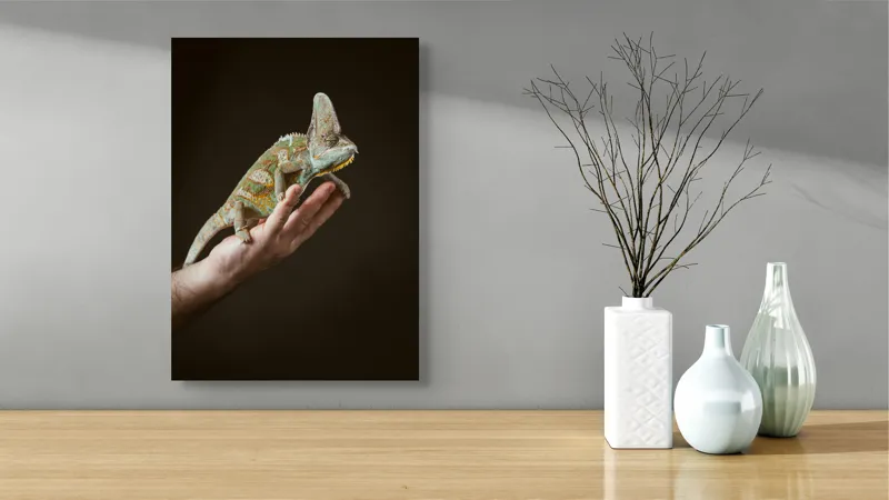 Tablou Canvas, "Cameleon pe mâna unui om", Nu pot identifica persoane sau obiecte specifice în imagini. Totuși, pot spune că în fotografie apare un animal care arată ca un cameleon pe o mână., 39 x 54 cm – poza 4