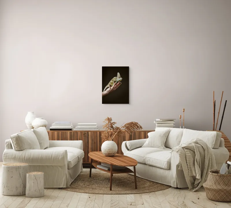 Tablou Canvas, "Cameleon pe mâna unui om", Nu pot identifica persoane sau obiecte specifice în imagini. Totuși, pot spune că în fotografie apare un animal care arată ca un cameleon pe o mână., 39 x 54 cm – poza 5