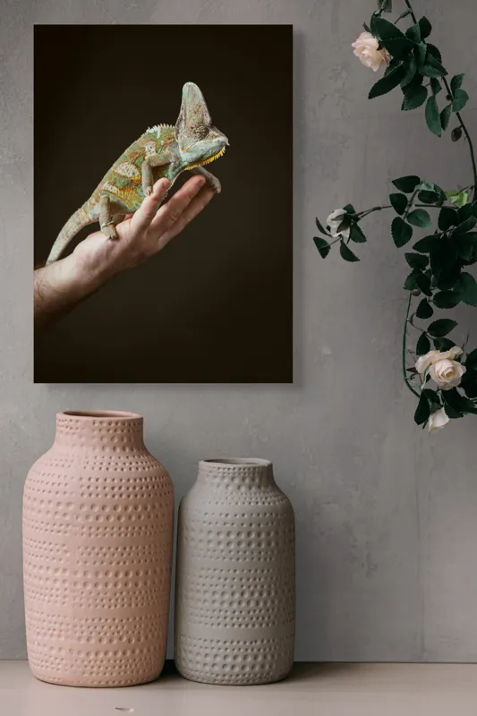 Tablou Canvas, "Cameleon pe mâna unui om", Nu pot identifica persoane sau obiecte specifice în imagini. Totuși, pot spune că în fotografie apare un animal care arată ca un cameleon pe o mână., 39 x 54 cm – poza 6