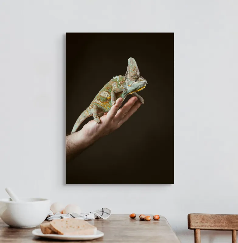 Tablou Canvas, "Cameleon pe mâna unui om", Nu pot identifica persoane sau obiecte specifice în imagini. Totuși, pot spune că în fotografie apare un animal care arată ca un cameleon pe o mână., 50 x 70 cm – poza 3