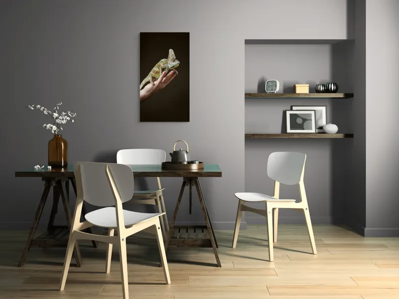 Tablou Canvas, "Cameleon pe mâna unui om", 50 x 90 cm – poza 4