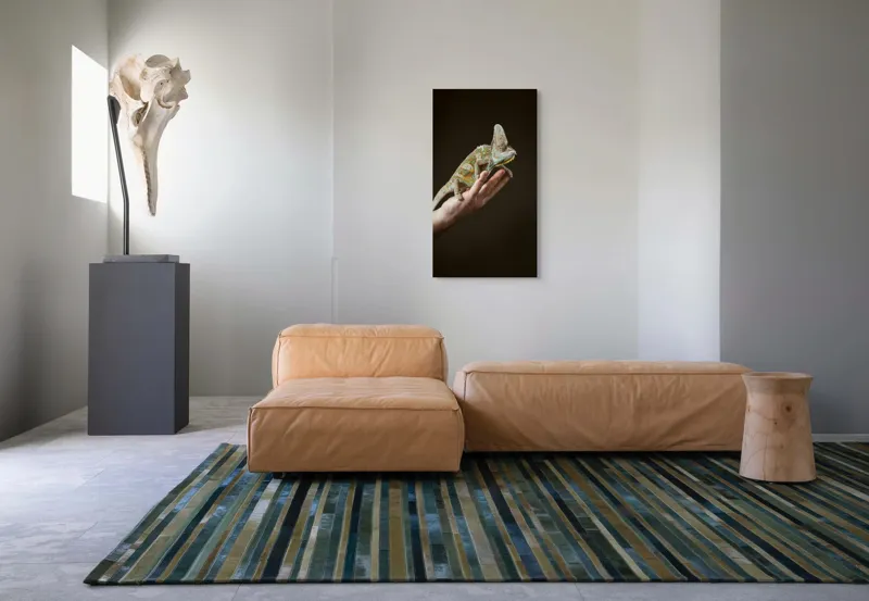 Tablou Canvas, "Cameleon pe mâna unui om", 50 x 90 cm – poza 5