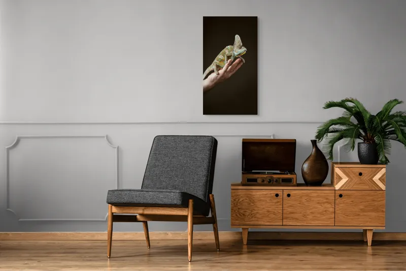 Tablou Canvas, "Cameleon pe mâna unui om", 50 x 90 cm – poza 8