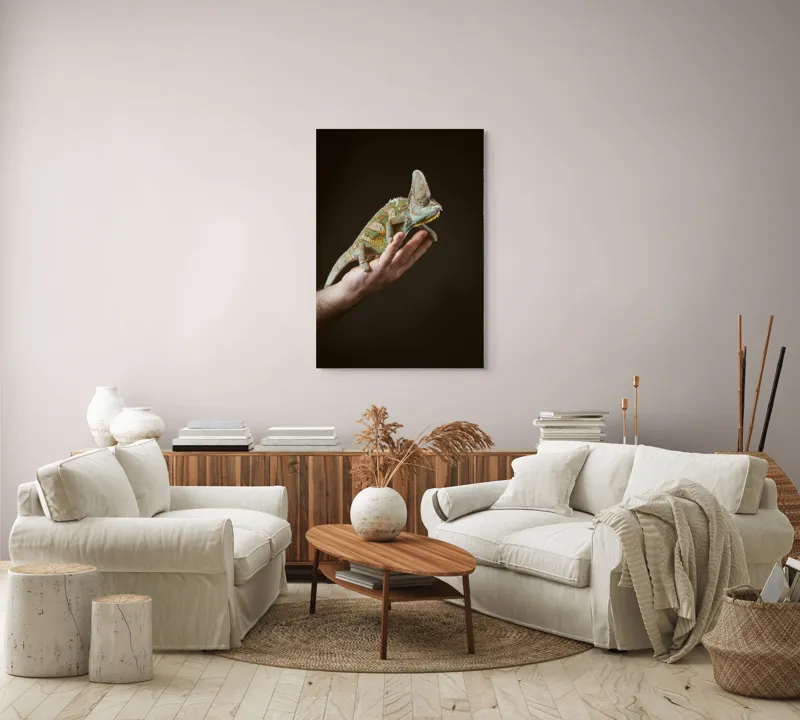 Tablou Canvas, "Cameleon pe mâna unui om", Nu pot identifica persoane sau obiecte specifice în imagini. Totuși, pot spune că în fotografie apare un animal care arată ca un cameleon pe o mână., 70 x 100 cm – poza 4