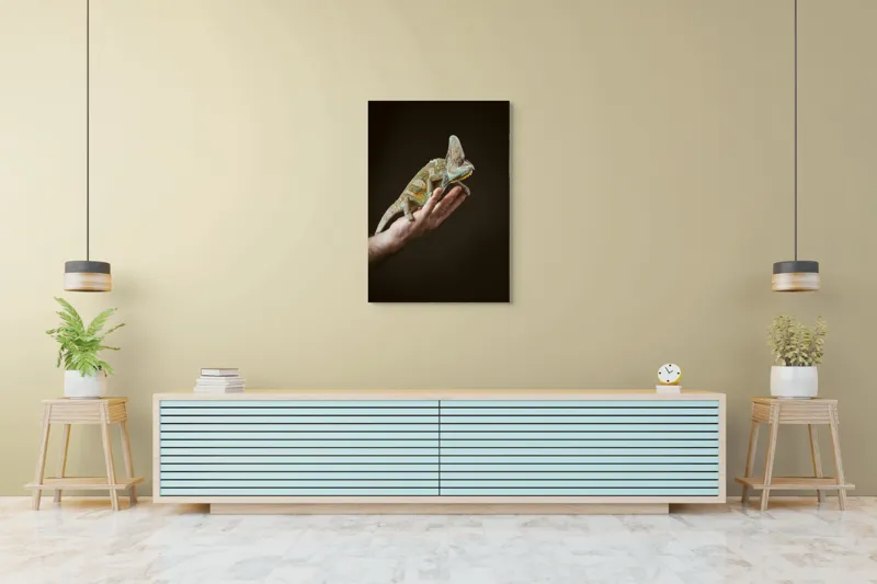Tablou Canvas, "Cameleon pe mâna unui om", Nu pot identifica persoane sau obiecte specifice în imagini. Totuși, pot spune că în fotografie apare un animal care arată ca un cameleon pe o mână., 70 x 100 cm – poza 5
