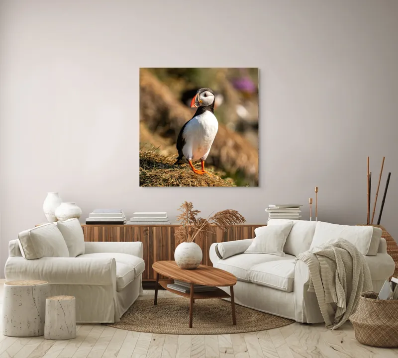 Tablou Canvas, "Puffin pe marginea stâncii verzi", Pinguin, Stâncă, Vegetație, Lumină, Panoramă, Măreție, Natură, Libertate., 100 x 100 cm – poza 3
