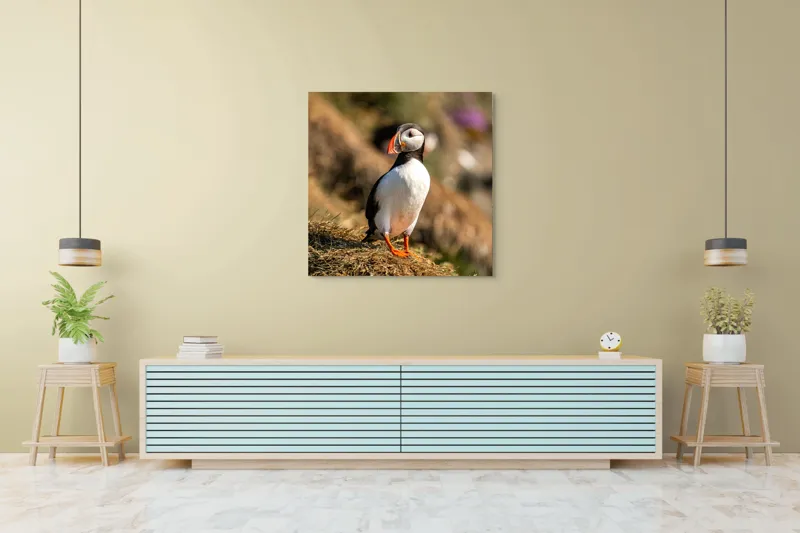 Tablou Canvas, "Puffin pe marginea stâncii verzi", Pinguin, Stâncă, Vegetație, Lumină, Panoramă, Măreție, Natură, Libertate., 100 x 100 cm – poza 5