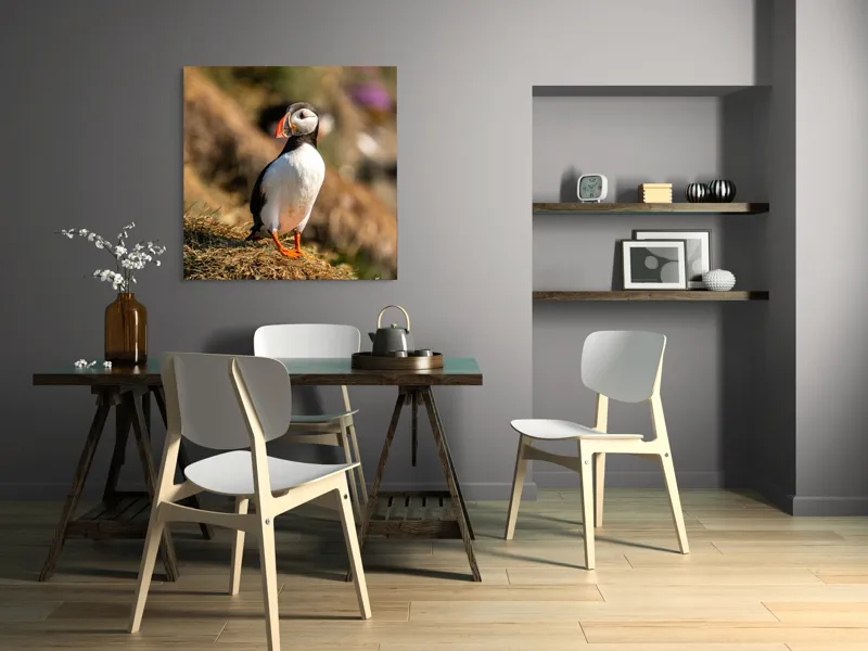 Tablou Canvas, "Puffin pe marginea stâncii verzi", Pinguin, Stâncă, Vegetație, Lumină, Panoramă, Măreție, Natură, Libertate., 100 x 100 cm – poza 6