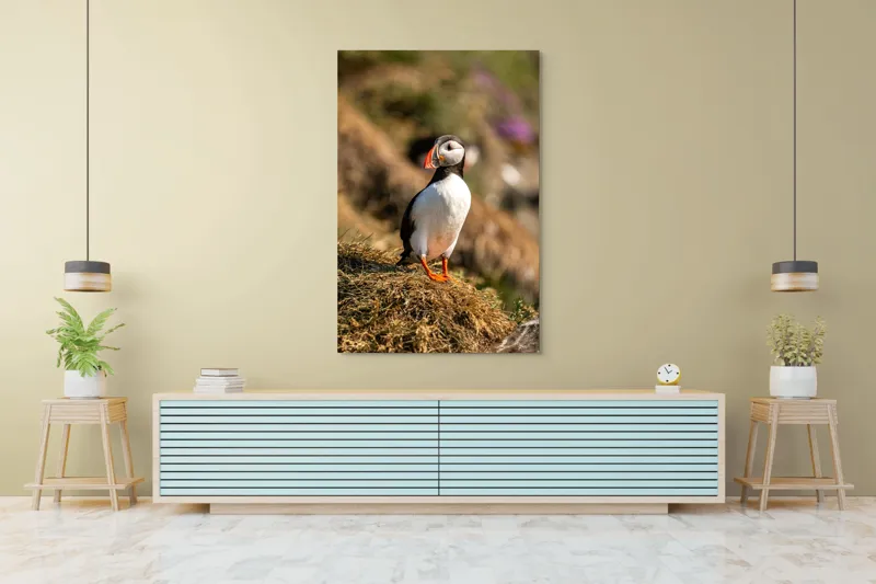 Tablou Canvas, "Puffin pe marginea stâncii verzi", Pinguin, Stâncă, Vegetație, Lumină, Panoramă, Măreție, Natură, Libertate., 100 x 150 cm – poza 4