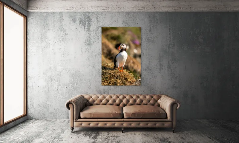 Tablou Canvas, "Puffin pe marginea stâncii verzi", Pinguin, Stâncă, Vegetație, Lumină, Panoramă, Măreție, Natură, Libertate., 100 x 150 cm – poza 6