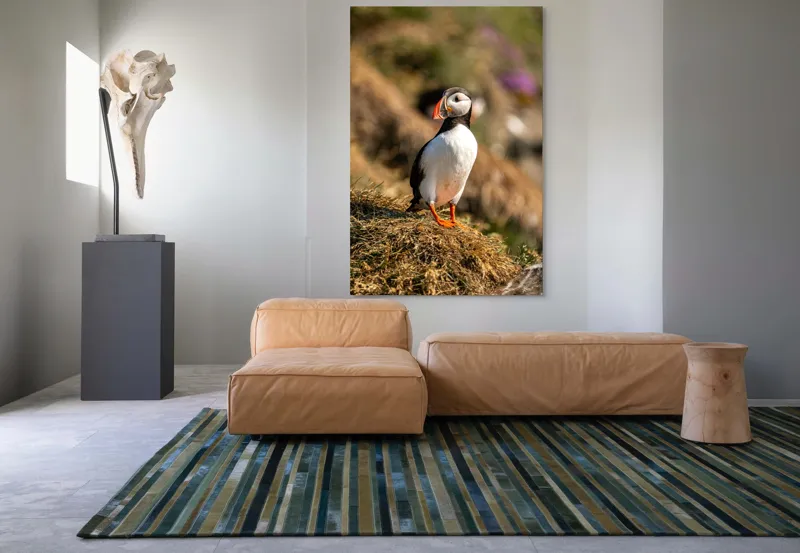 Tablou Canvas, "Puffin pe marginea stâncii verzi", Pinguin, Stâncă, Vegetație, Lumină, Panoramă, Măreție, Natură, Libertate., 100 x 150 cm – poza 7