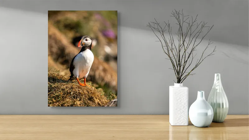 Tablou Canvas, "Puffin pe marginea stâncii verzi", Pinguin, Stâncă, Vegetație, Lumină, Panoramă, Măreție, Natură, Libertate., 39 x 54 cm – poza 4