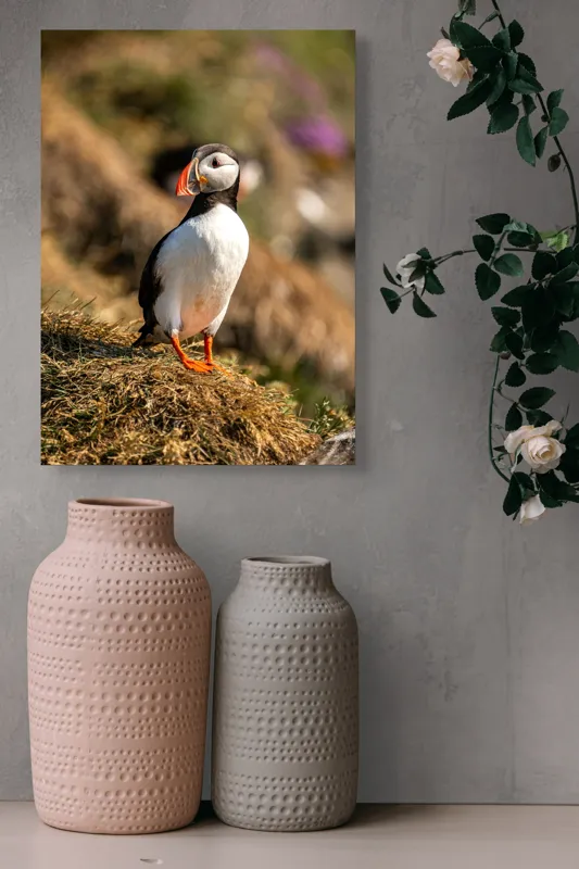 Tablou Canvas, "Puffin pe marginea stâncii verzi", Pinguin, Stâncă, Vegetație, Lumină, Panoramă, Măreție, Natură, Libertate., 39 x 54 cm – poza 6