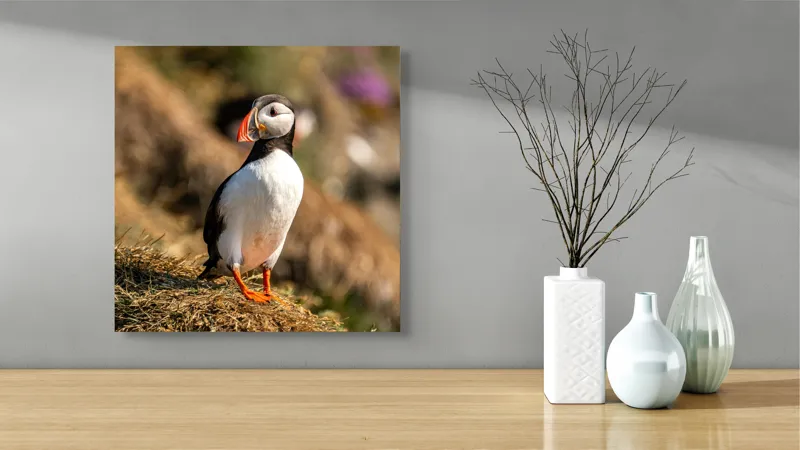 Tablou Canvas, "Puffin pe marginea stâncii verzi", Pinguin, Stâncă, Vegetație, Lumină, Panoramă, Măreție, Natură, Libertate., 50 x 50 cm – poza 3