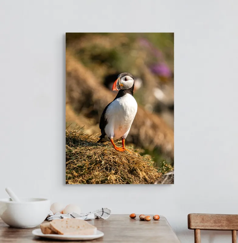 Tablou Canvas, "Puffin pe marginea stâncii verzi", Pinguin, Stâncă, Vegetație, Lumină, Panoramă, Măreție, Natură, Libertate., 50 x 70 cm – poza 3