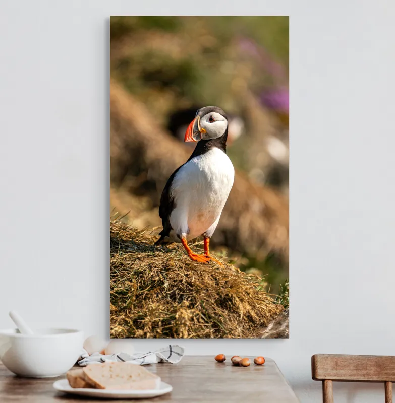 Tablou Canvas, "Puffin pe marginea stâncii verzi", Pinguin, Stâncă, Vegetație, Lumină, Panoramă, Măreție, Natură, Libertate., 50 x 90 cm – poza 3
