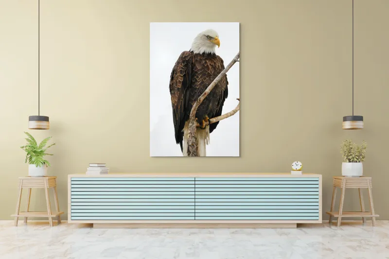Tablou Canvas, "Vulturul mândru pe creangă înaltă", Vultur, Majestic, Penaj, Crengi, Privire, Natură., 100 x 150 cm – poza 4