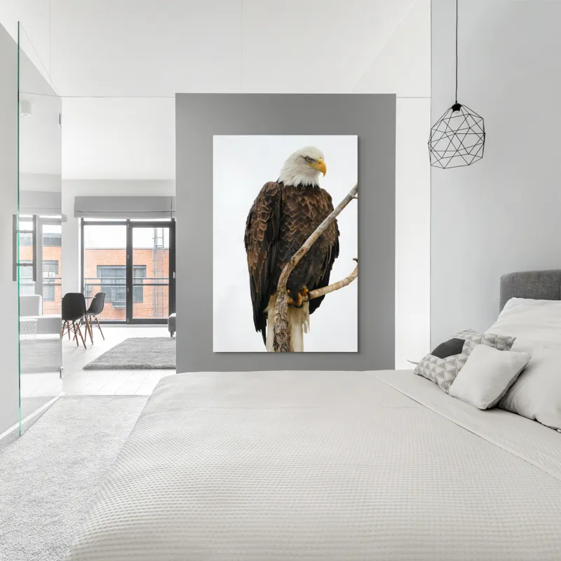 Tablou Canvas, "Vulturul mândru pe creangă înaltă", Vultur, Majestic, Penaj, Crengi, Privire, Natură., 100 x 150 cm – poza 5