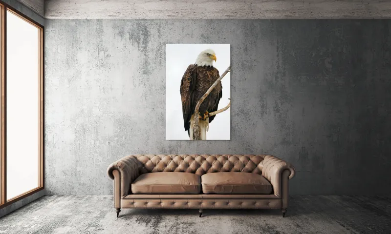 Tablou Canvas, "Vulturul mândru pe creangă înaltă", Vultur, Majestic, Penaj, Crengi, Privire, Natură., 100 x 150 cm – poza 6