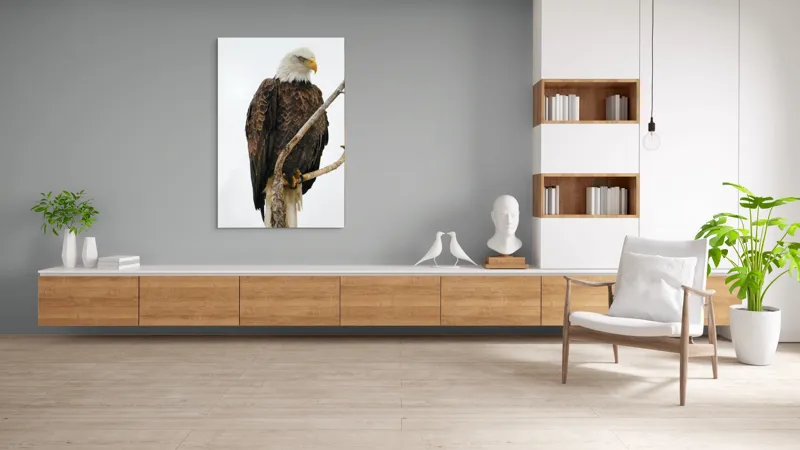 Tablou Canvas, "Vulturul mândru pe creangă înaltă", Vultur, Majestic, Penaj, Crengi, Privire, Natură., 100 x 150 cm – poza 8