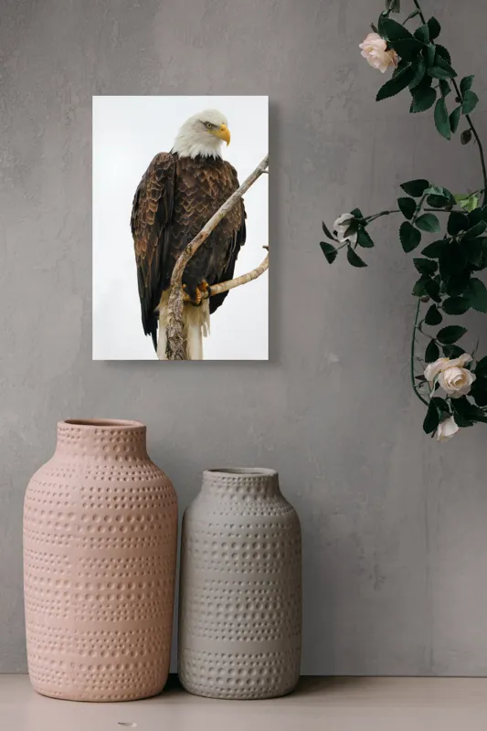 Tablou Canvas, "Vulturul mândru pe creangă înaltă", Vultur, Majestic, Penaj, Crengi, Privire, Natură., 26 x 39 cm – poza 6