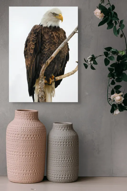 Tablou Canvas, "Vulturul mândru pe creangă înaltă", Vultur, Majestic, Penaj, Crengi, Privire, Natură., 39 x 54 cm – poza 6