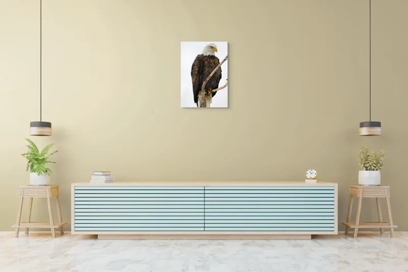 Tablou Canvas, "Vulturul mândru pe creangă înaltă", Vultur, Majestic, Penaj, Crengi, Privire, Natură., 50 x 70 cm – poza 6